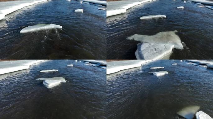 春天开河浮冰顺流而下