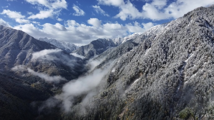 雪山云雾蓝天白云航拍