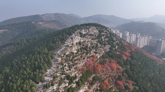 济南蝎子山红叶