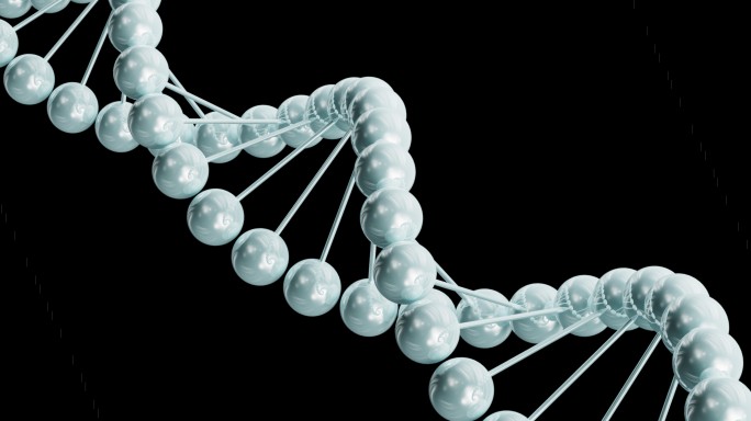 DNA脱氧核糖核酸循环带通道