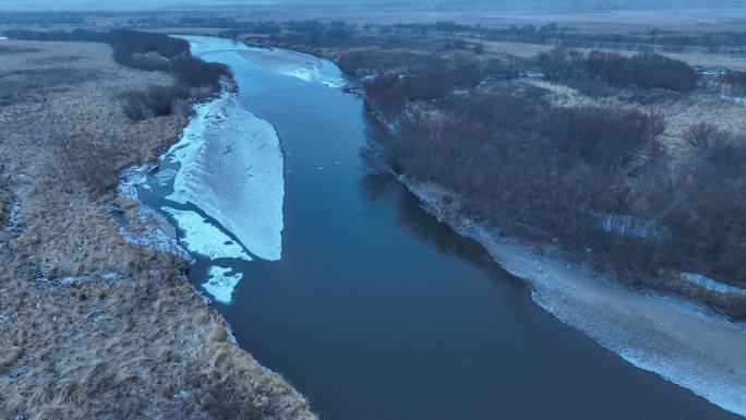 湿地公园初春风雪冰河飞翔的苍鹭