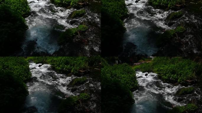 溪流水声及远景
