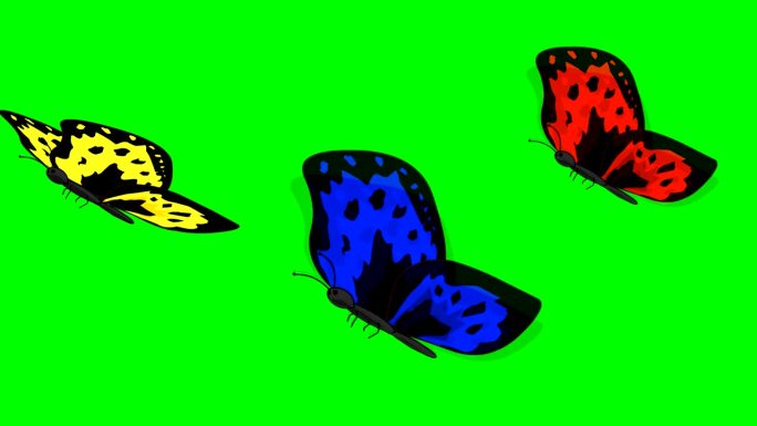 三只蝴蝶的动画视频，绿色背景，昆虫，自然。