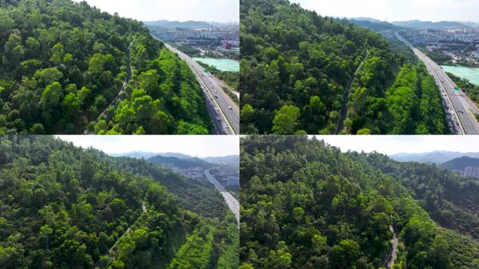 4K深圳市光明大雁山森林公园2