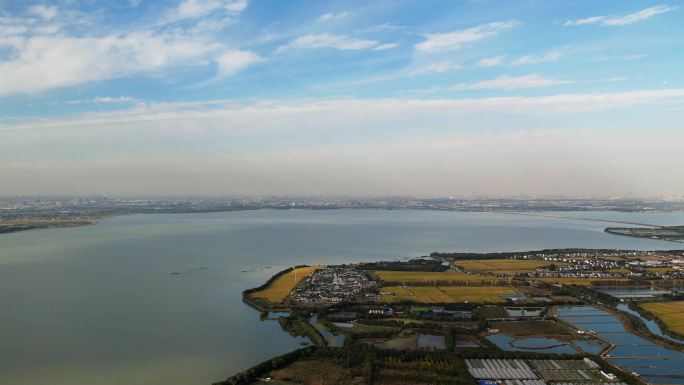 苏州同里湿地澄湖航拍视频4k