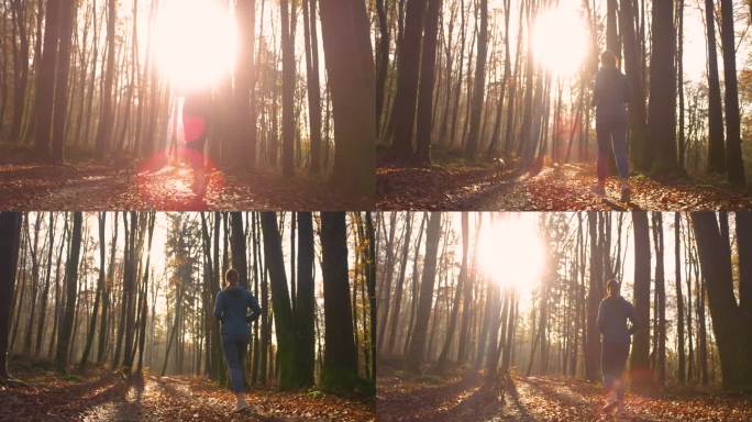 镜头光晕:运动女士和她的狗在美丽的秋天森林里晨跑