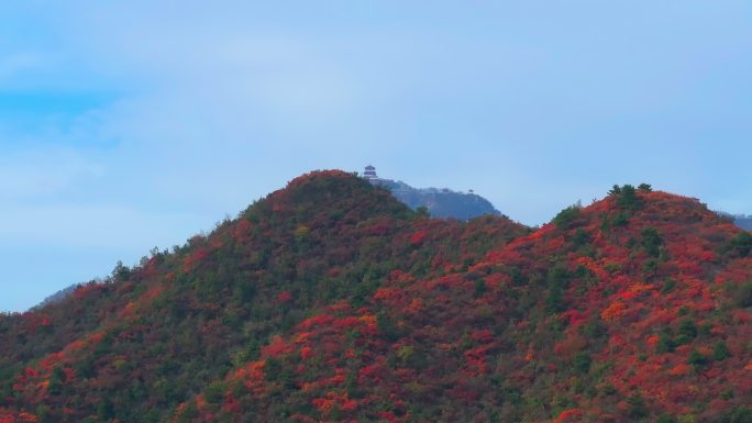 航拍济源王屋山红叶