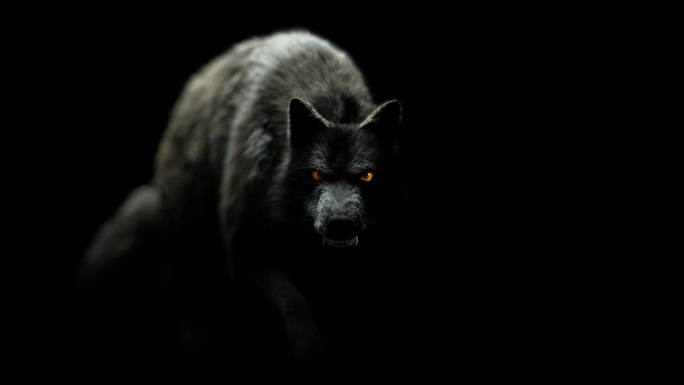 恐怖的狼:这只怪物在黑暗中行走，露出毒牙，还有可怕的眼睛。令人不安的灯光营造出恐怖的气氛。视频是循环
