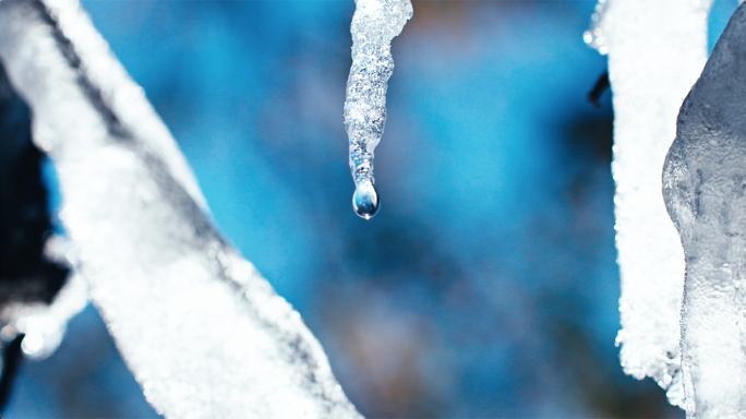 冰挂树梢水珠落下滴落水滴冰雪融化一滴水