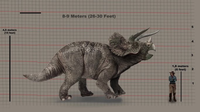 高度的比较——三角龙与人类在高度图上的对比。动画