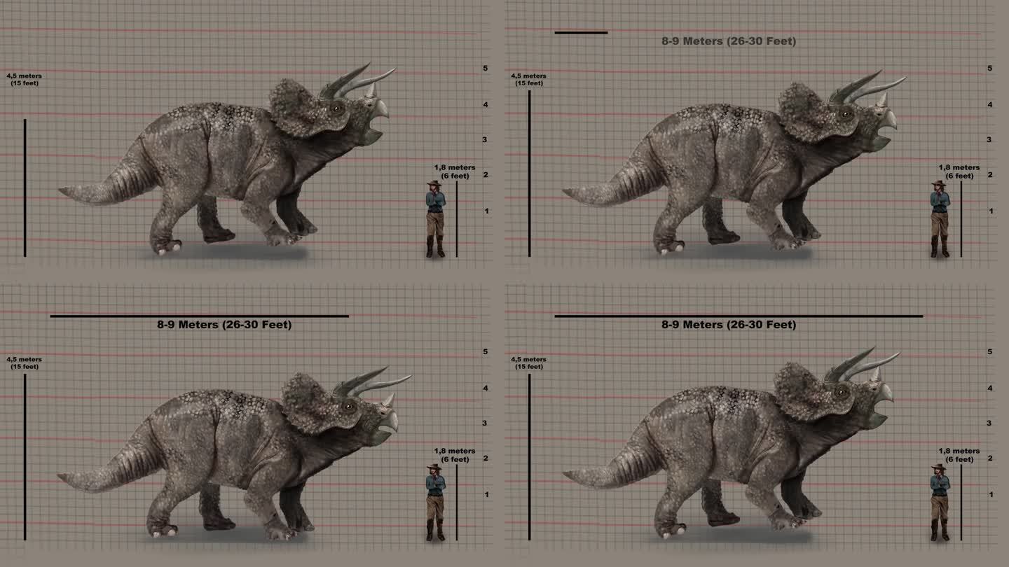 高度的比较——三角龙与人类在高度图上的对比。动画