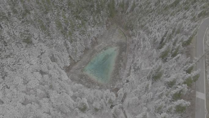 雪山，阿坝，九寨沟