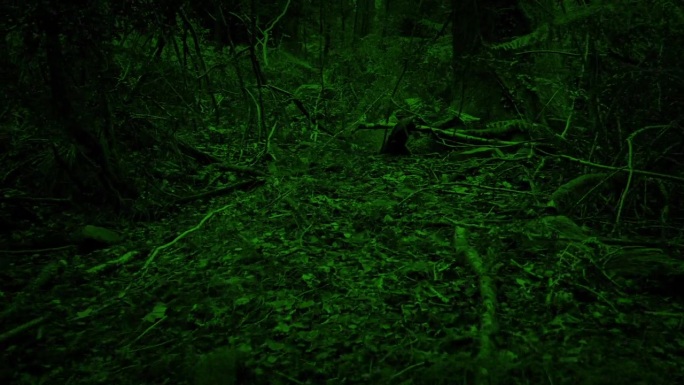 怪物在森林中移动草原景色恐怖场景