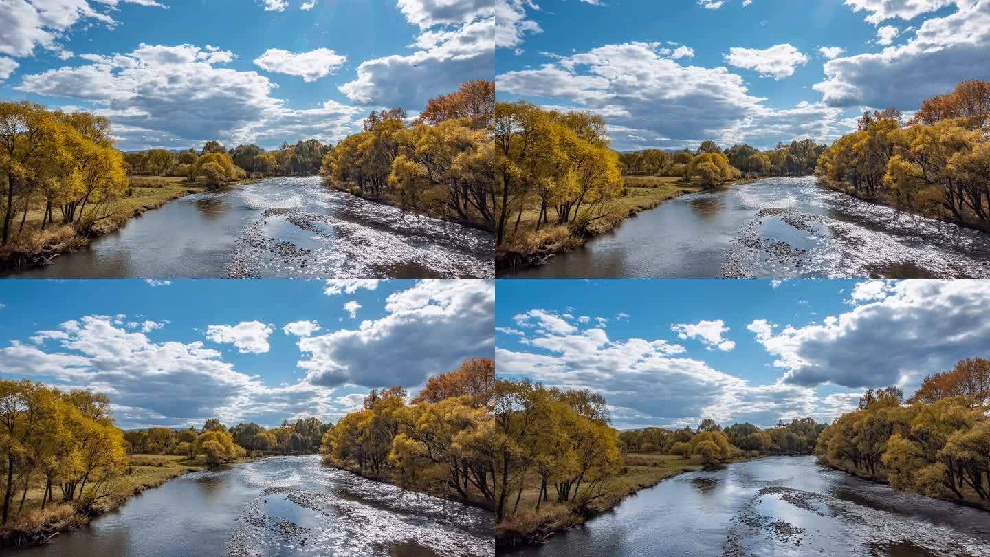 秋天树木河流风景延时