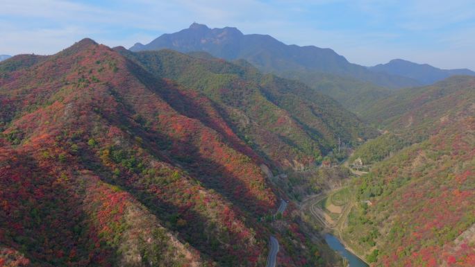 航拍济源王屋山红叶