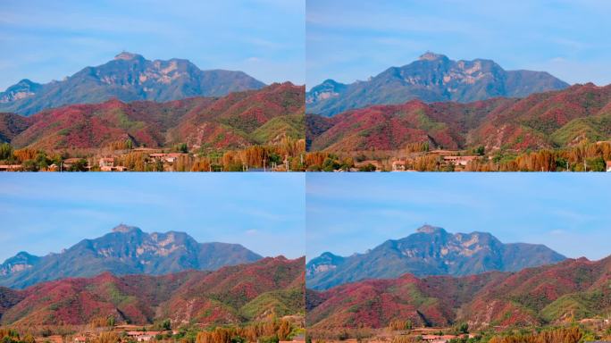 航拍济源王屋山红叶