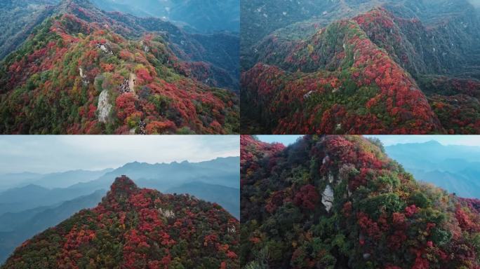 秦岭圭峰山4K航拍