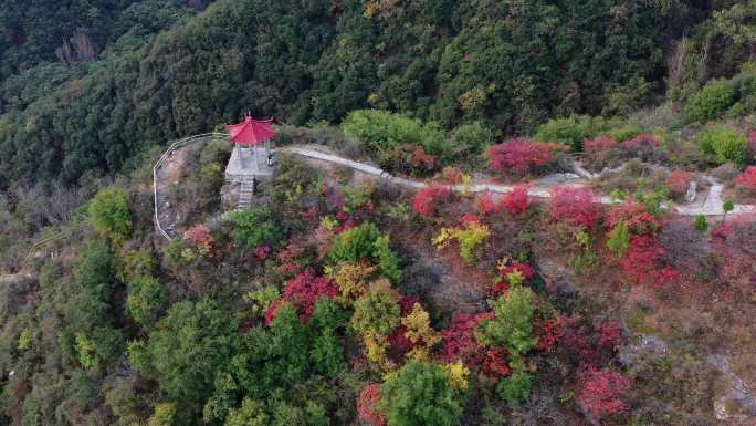 金秋时节最美山野风景（合集）