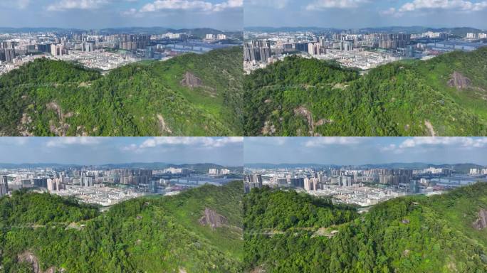 4K深圳市光明大雁山森林公园18