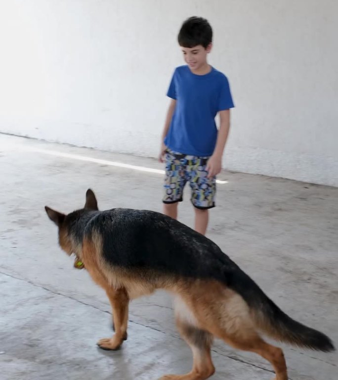 一个10岁的小男孩旋转着，扔着一个小球，让他的德国牧羊犬接住。