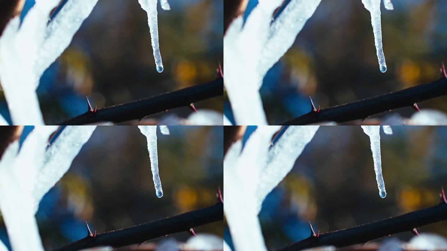 水珠滴落水滴冰雪融化一滴水