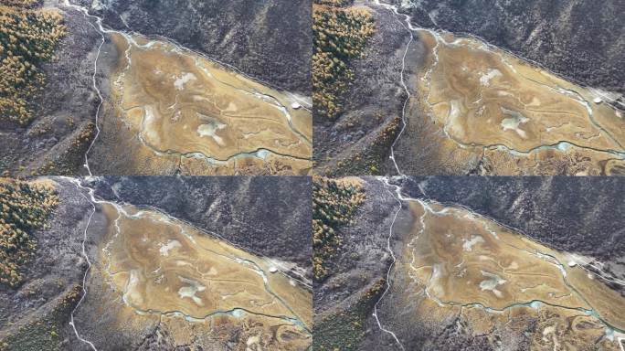 稻城亚丁洛绒牛场秋景航拍