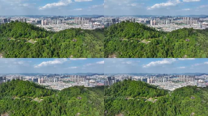 4K深圳市光明大雁山森林公园15