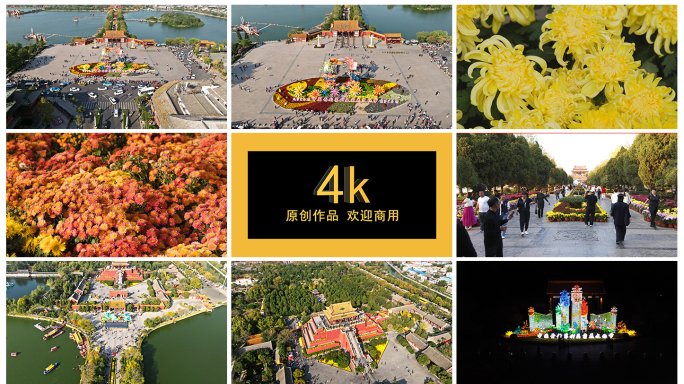 4k航拍 中国开封第41届菊花文化节菊花