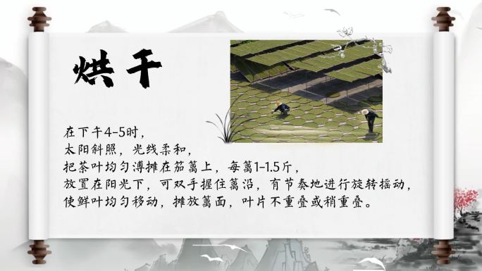 茶叶烘干简介