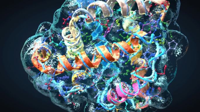 氨基酸链或称为蛋白质的生物分子的彩色结构- 3d插图