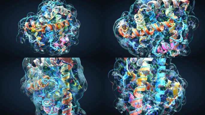 氨基酸链或称为蛋白质的生物分子的彩色结构- 3d插图