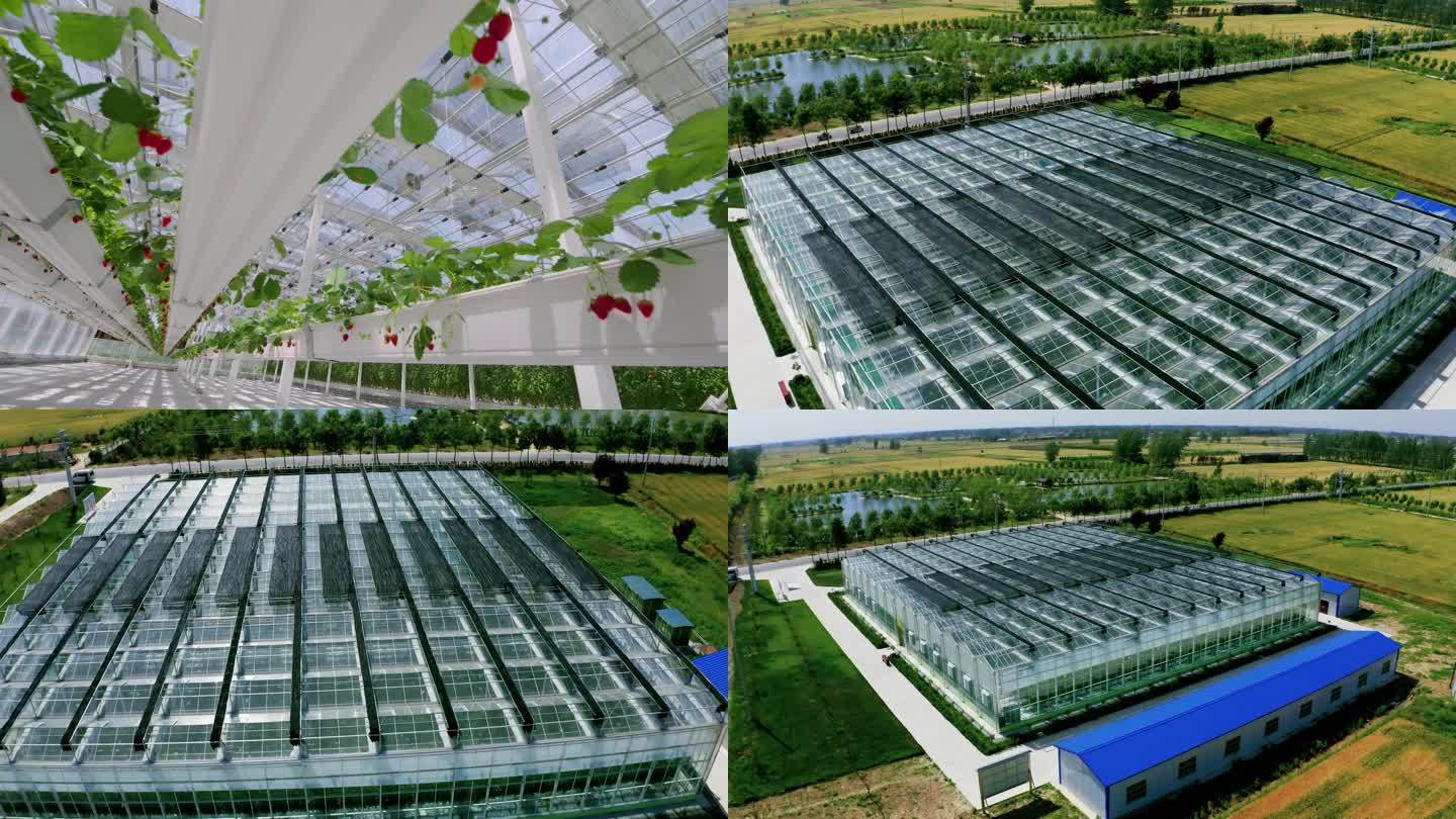 生态农业 航拍 数字农业 玻璃大棚种植