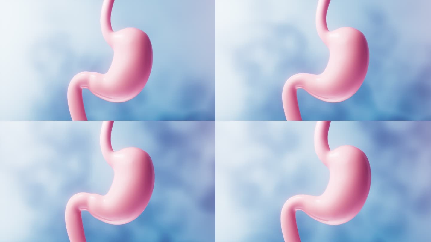 胃部消化系统医疗概念3D渲染