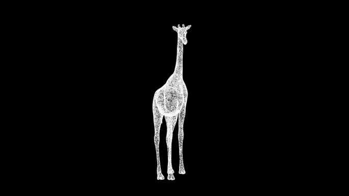 3D长颈鹿在黑色背景上旋转。野生动物概念。商业广告背景。用于标题，文本，演示。3d动画60 FPS。