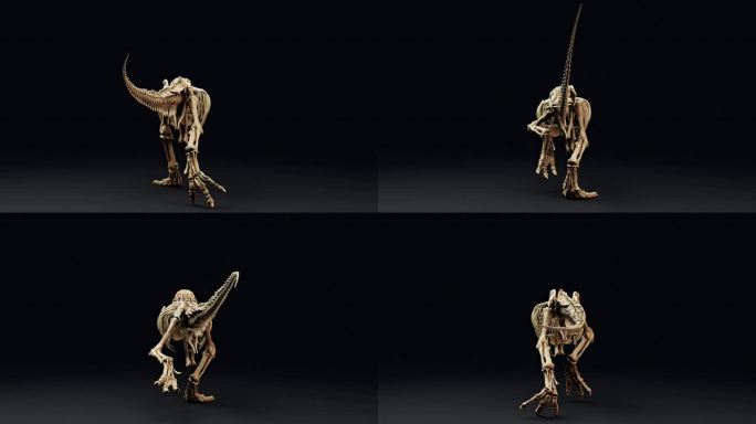 雷克斯暴龙苏骨架动画渲染背景。三维渲染