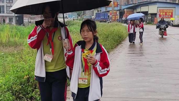 小学生放学背书包雨伞走路回家行走雨中回家