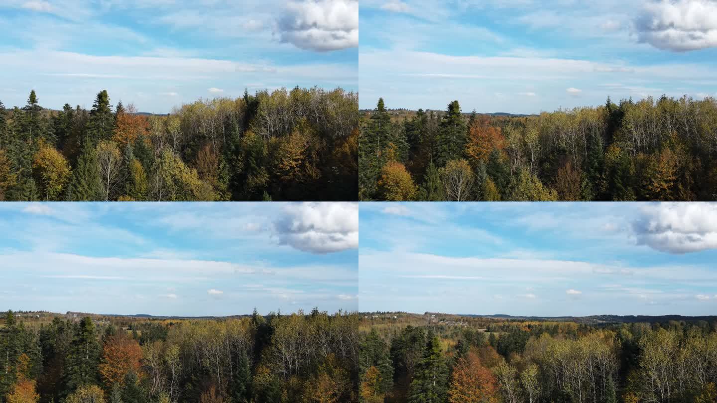 在晴朗的日子里，无人机飞过雄伟美丽多彩的秋季混交林和多云的天空。落在山间景观和令人难以置信的自然风光