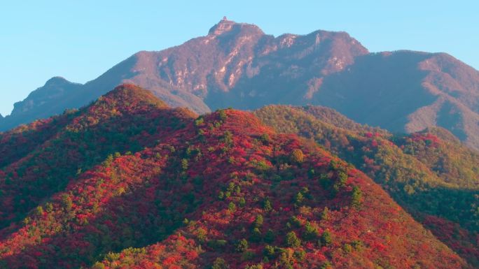 航拍济源王屋山红叶