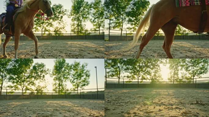 在阳光明媚的夏日，年轻的女牛仔在被树木环绕的沙滩牧场骑马的组合剪辑