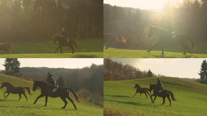 镜头闪光:一名女子骑着一匹种马在牧场上疾驰，旁边是一匹棕色的母马