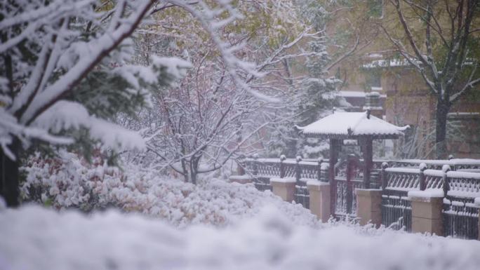 园区 小区 社区 回家 下雪