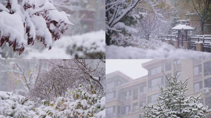 园区 小区 社区 回家 下雪