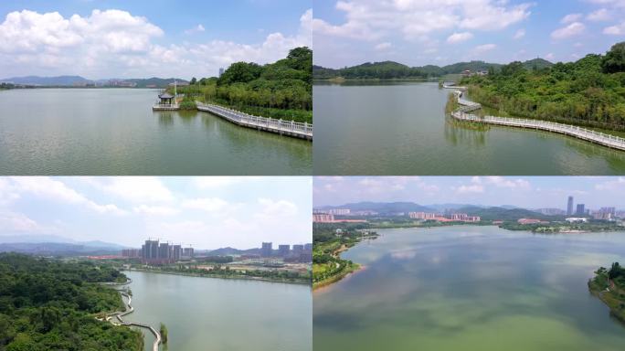 广州增城荔湖多段航拍
