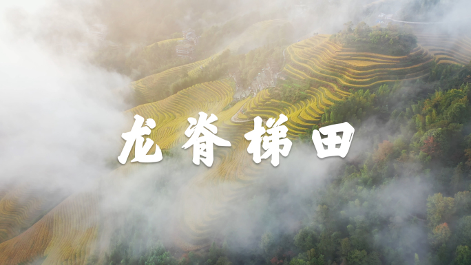 【4K超清】广西龙脊梯田旅游风光宣传片