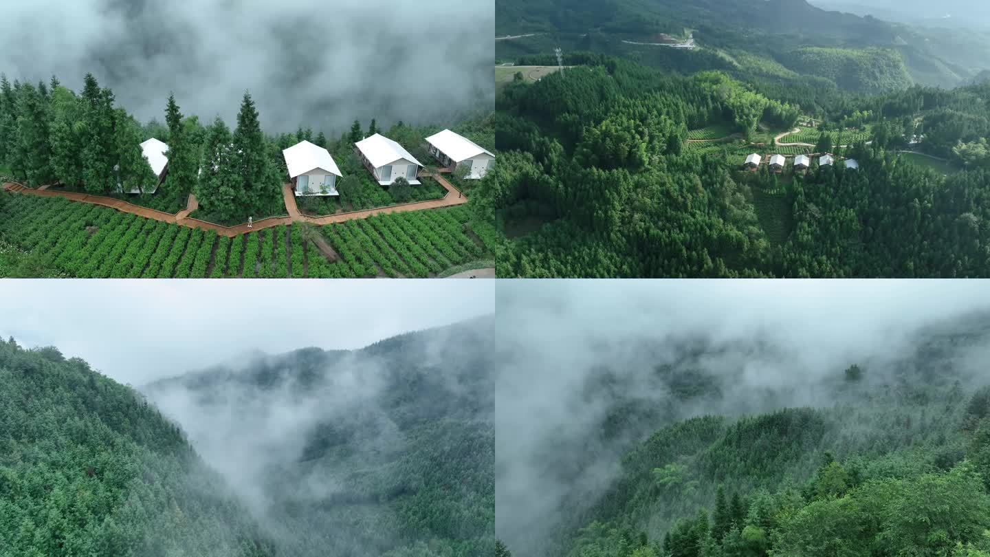 森林山脉酒店民宿