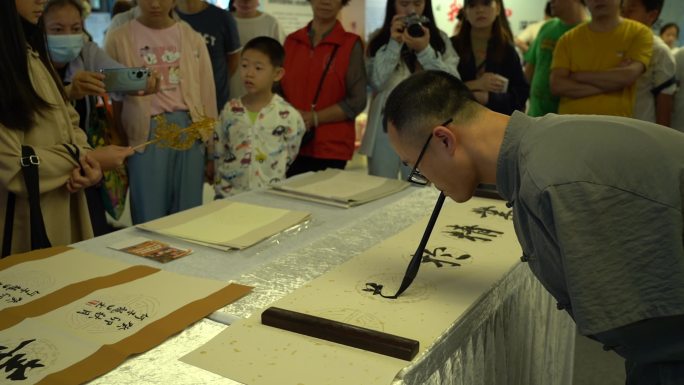 残疾人 文化残疾人 文化展 展览 书法