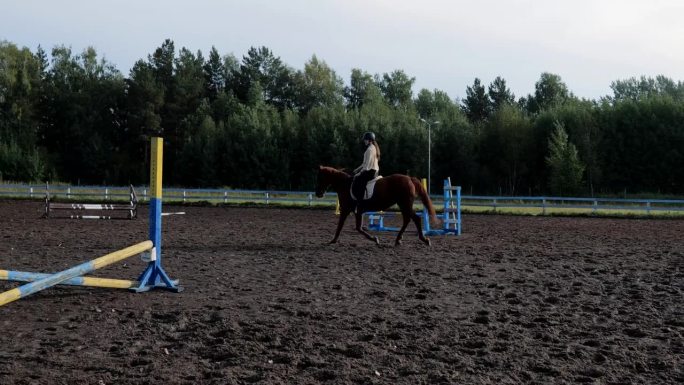 在马术俱乐部骑马。骑手赛前训练。一个骑马的年轻女子，在马术俱乐部里骑马。在训练场上骑马的女骑手。