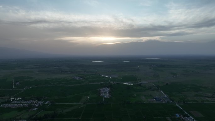 玉米制种基地 甘肃张掖