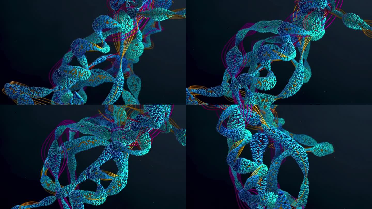 氨基酸链或生物分子称为蛋白质-三维插图