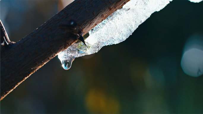 水滴冰雪融化一滴水-水珠滴落